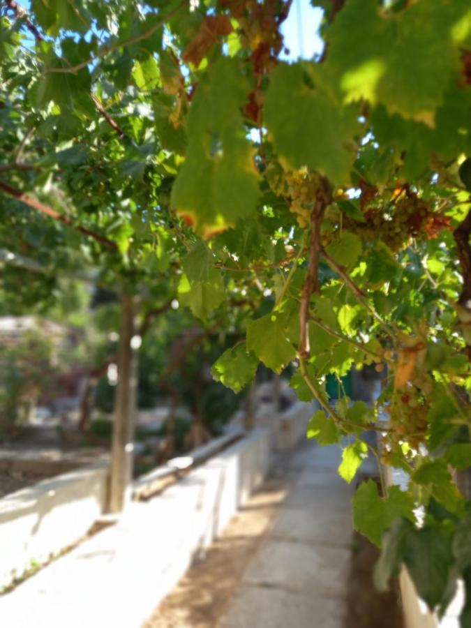 Stone Oasis Vito Lägenhet Dubrovnik Exteriör bild